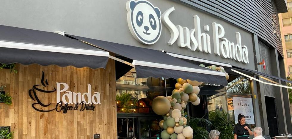 sushi panda teatinos